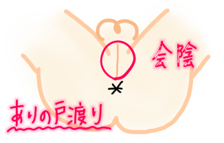 会陰 蟻の門渡り