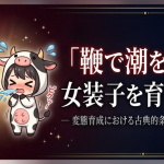 鞭で潮を吹く女装子を育てた話 ― 変態育成における古典的条件付けの実践